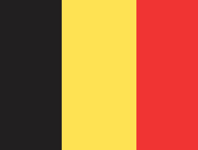 Les acheteurs belges face à la digitalisation