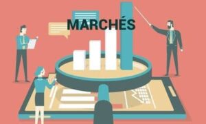 e-achat-professionnel-en-vogue-france-acxias