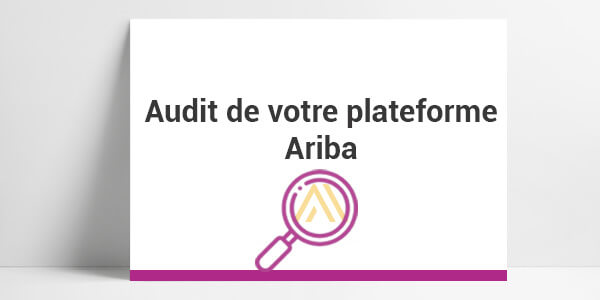 audit, cadrage, étude préalable, cartographie, plan d’actions